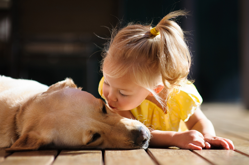 How to Tell Your Child That Your Pet Has Passed | Shutterstock Photo by Elena Nasledova