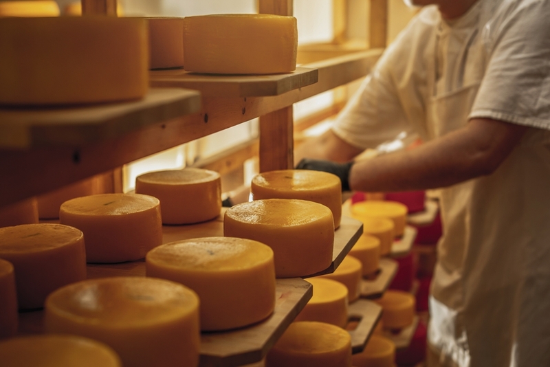 What Is New in the World of Cheese? | Shutterstock Artem Oleshko