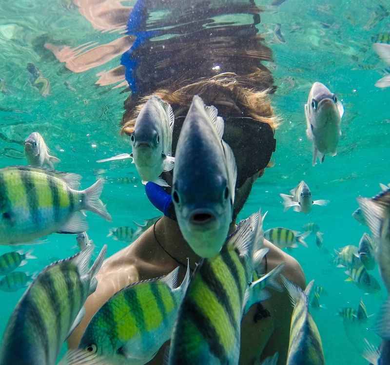 Underwater Exploration | Shutterstock Editorial Photo by Fede Maiz Hohlberg/Solent News