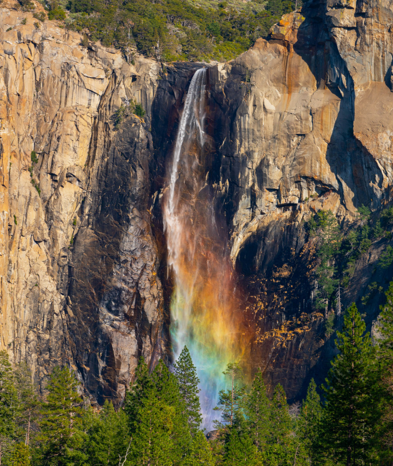 The Mother of All Perfectly Timed Photos | Getty Images Photo by AaronP/Bauer-Griffin