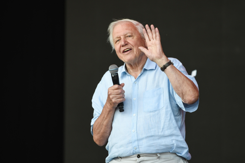 The Voice of Sir David Attenborough | Alamy Stock Photo Female Perspective