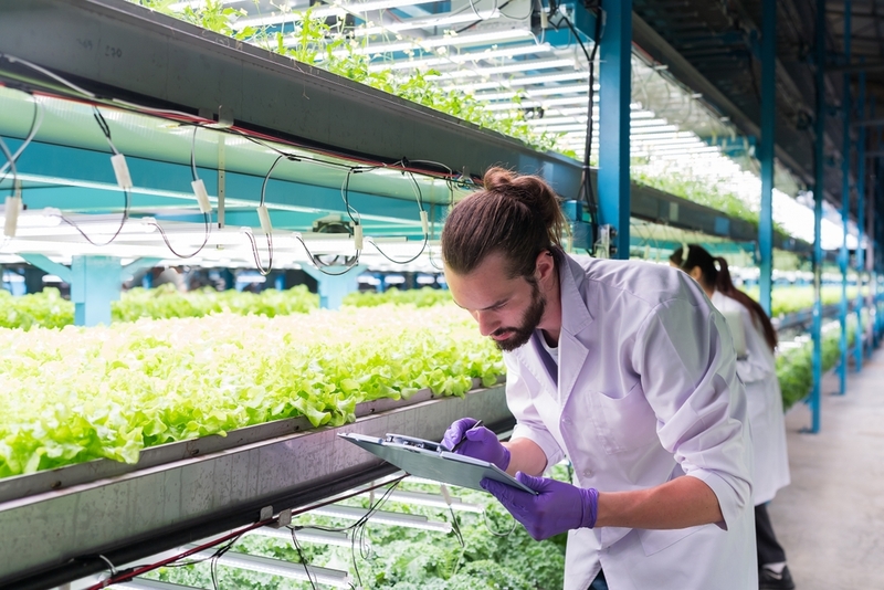 These 5 Companies Are Changing the Food Production Game for the Better | Shutterstock Photo by Amorn Suriyan