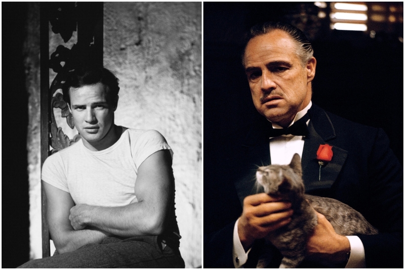 Marlon Brando (1950s-1960s) | Getty Images Photo by John Kobal Foundation & Alamy Stock Photo