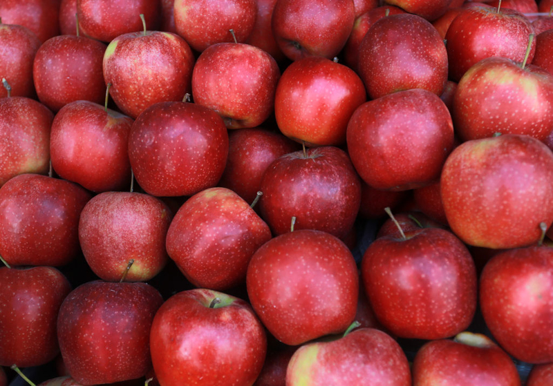 A bunch of ripe freshly picked organic crunchy red apples at local produce  farmers market counter. Clean eating concept. Sweet fruits for fit and heal  Stock Photo - Alamy