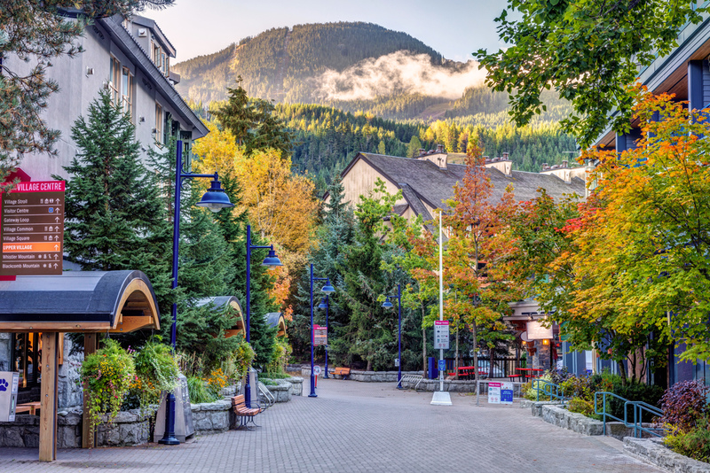 Canada's Rich Natural History | Shutterstock Photo by Pierre Leclerc