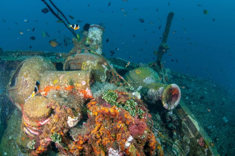 Boga Wreck, Tulamben | Alamy Stock Photo by Blue Planet Archive CMA-X