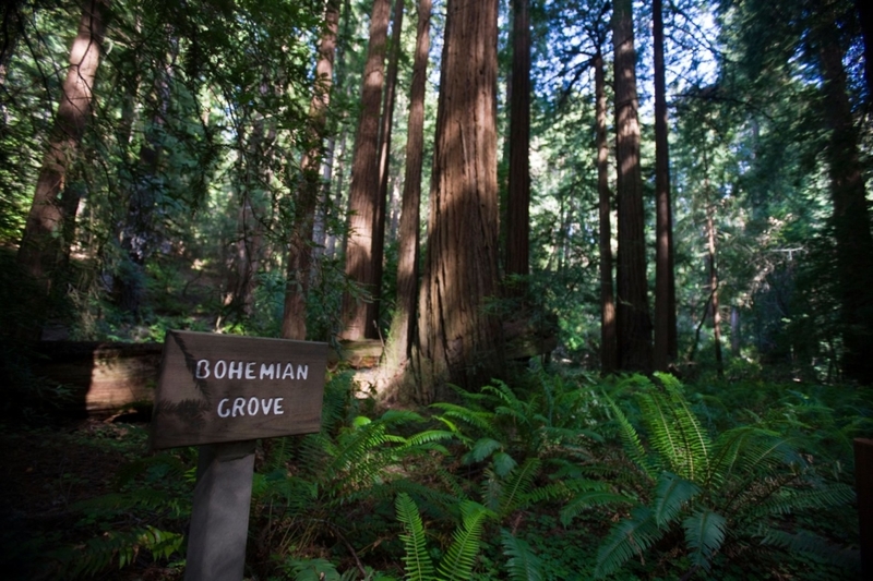 Bohemian Grove | Alamy Stock Photo