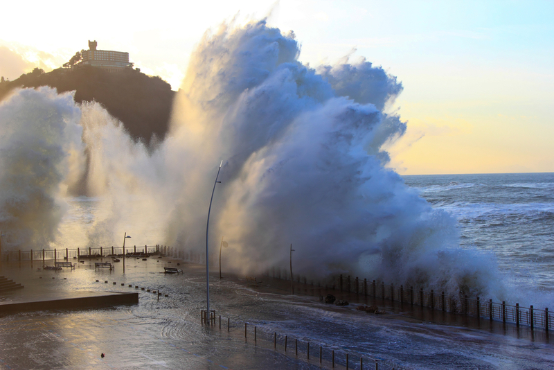 If the Ocean Starts to Roar, Get to a High Point | Shutterstock