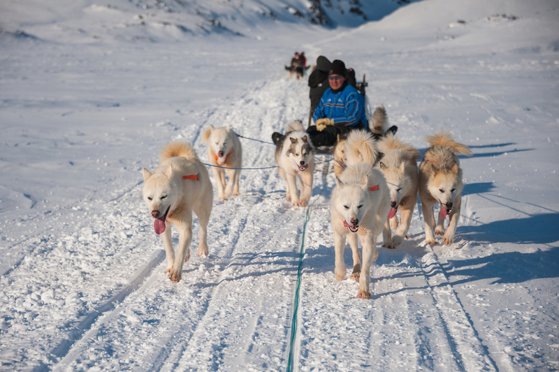 Dog Sledding in Alaska Is the Ultimate Winter Wonderland Experience | Shutterstock photo by Yongyut Kumsri