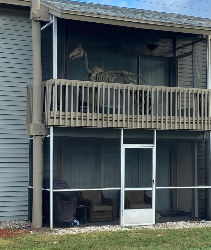 Jurassic Balcony | Reddit.com/MonFeesh