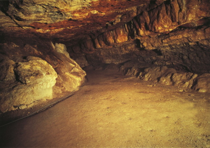 Cave of Altamira | Getty Images Photo by DEA PICTURE LIBRARY/De Agostini