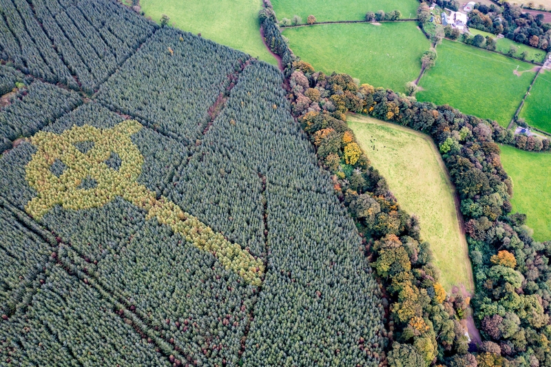 Celtic Cross in the Forest | Alamy Stock Photo by Thomas Lukassek 