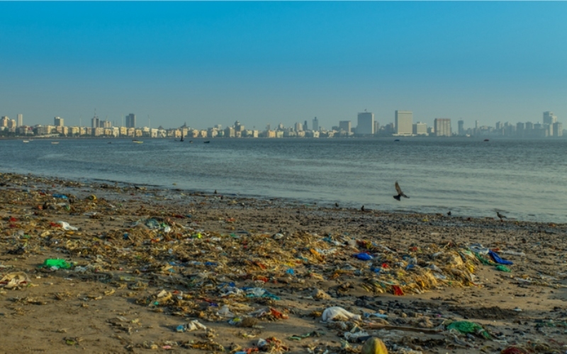 CHOWPATTY BEACH, INDIA | PhotopankPL/Shutterstock