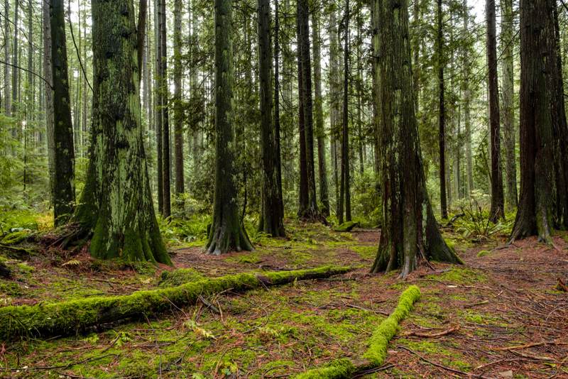 The Beginning of the End | Shutterstock