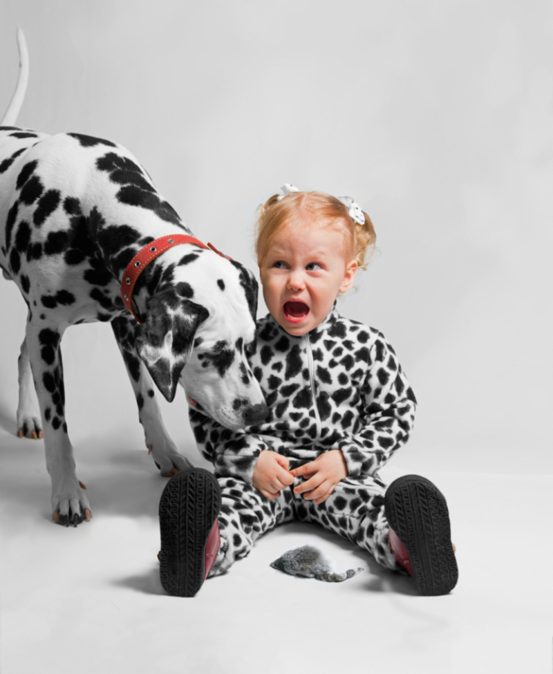 The Disguise Has Him Fooled | Shutterstock