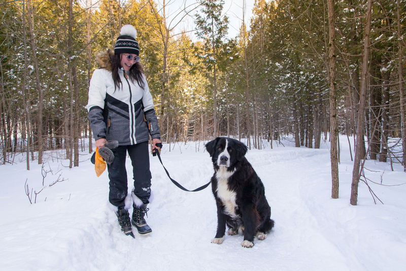 The Labernese | Shutterstock