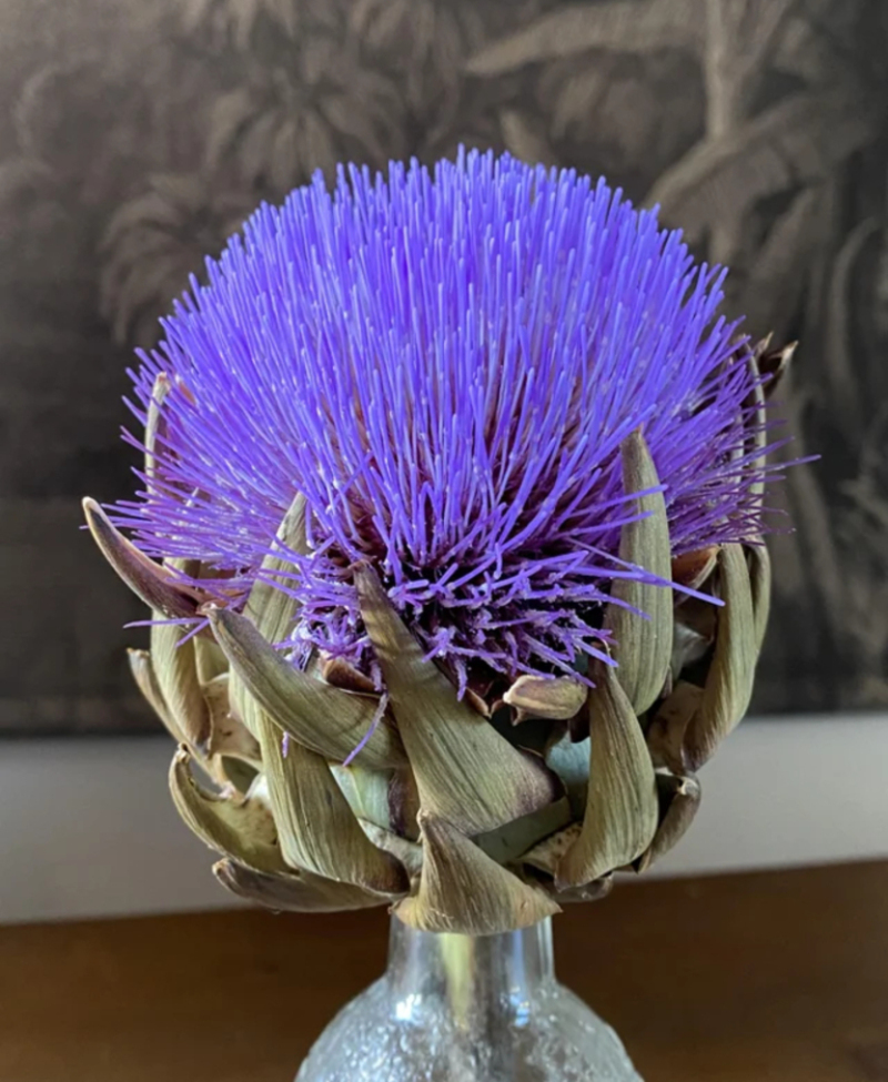 What if You Don't Eat an Artichoke? | Reddit.com/buddymurphy2020