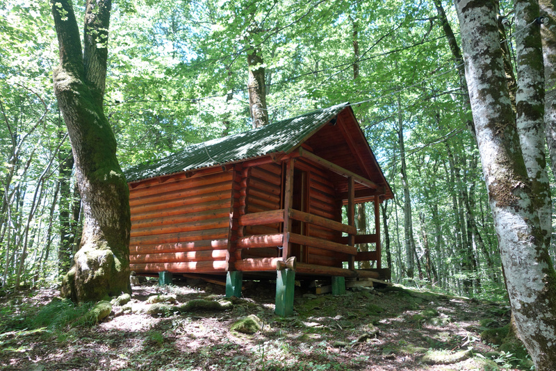 Live In An Outbuilding | Shutterstock