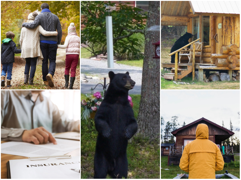 Bear Taps on Family’s Cabin, Dad Follows It and Discovers Something Strange | Monkey Business Images/Shutterstock & mojo cp/Shutterstock & Barbara MacDonald/Shutterstock & Renee Foskett/Shutterstock & Alamy Stock Photo by Kike Arnaiz/Westend61 GmbH