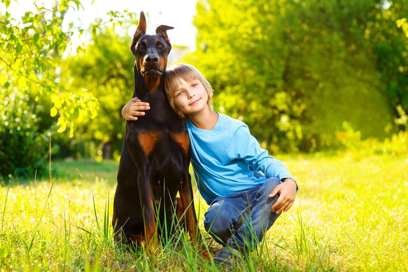 No Less Than a Doberman | MaKo-studio/Shutterstock