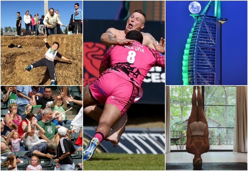 Fantastische Bilder, die du wirklich sehen musst! | Getty Images Photo by Ron Jenkins/Fort Worth Star-Telegram & Ross Kinnaird & Instagram/@where_is_violet & Imgur.com/b2CZmbg & Alamy Stock Photo 