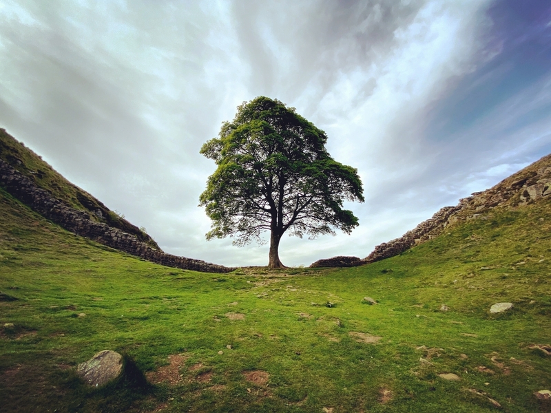 Hadrian’s Wall – One of the Most Special Hikes You’ll Ever Embark On | Shutterstock Photo by Ioanna Efstratiou
