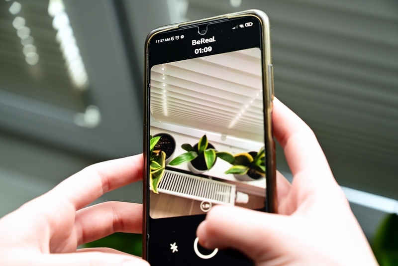 Apps For Bringing Your Plants Back to Life | Shutterstock Phto by Dorota Szymczyk