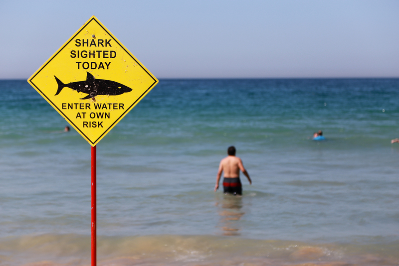 In the Meantime in Australia | Shutterstock