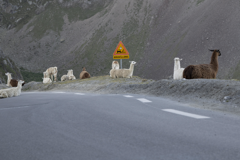 In the Meantime in France | Alamy Stock Photo