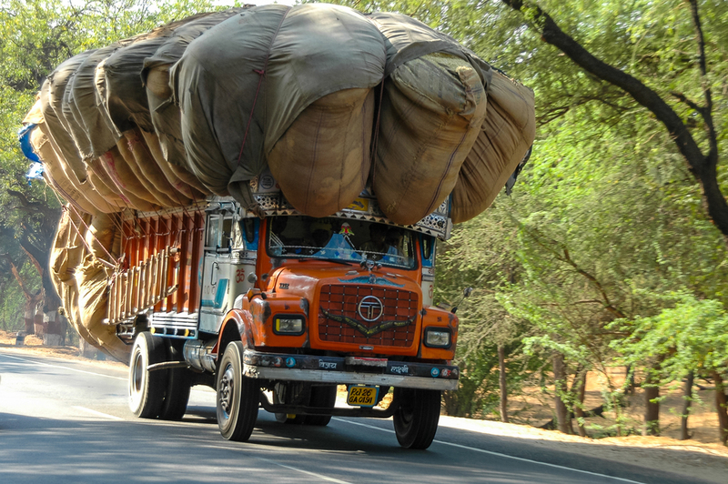 In the Meantime in India | Shutterstock