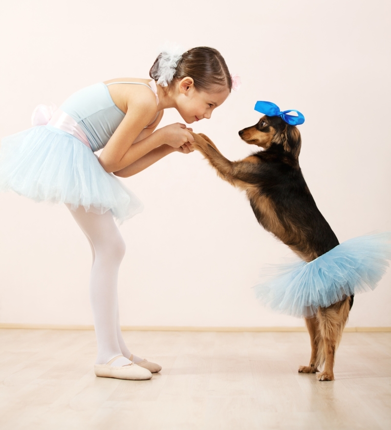 The Dance Partners | Shutterstock