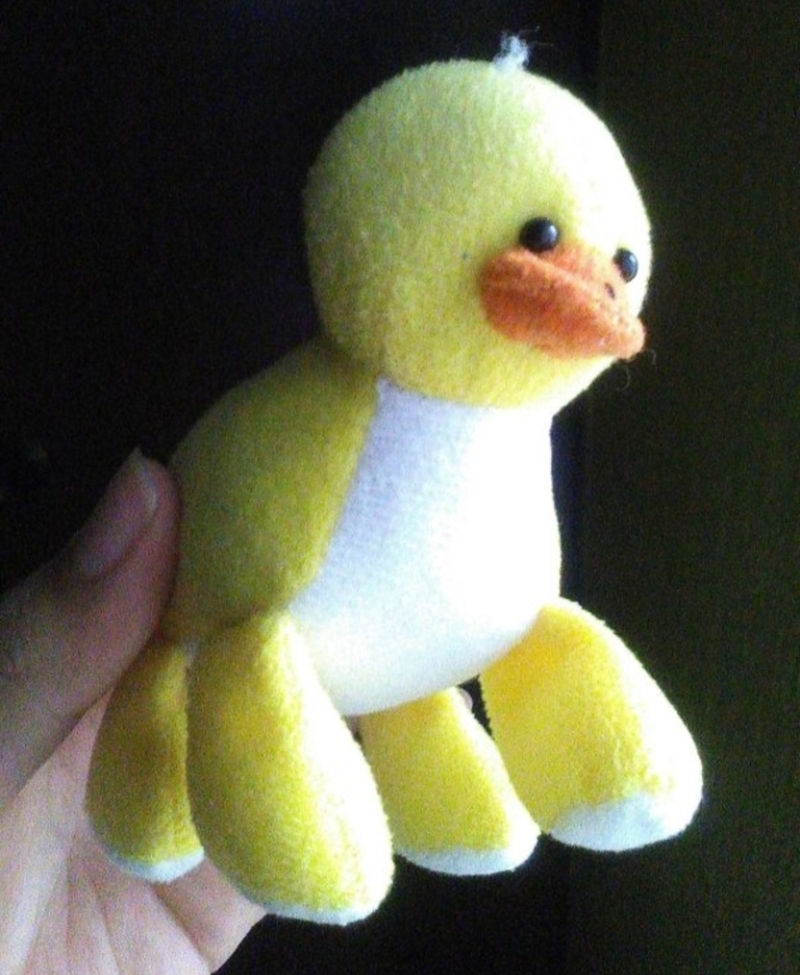 The Existential Crisis Of A Toy Duck | Imgur.com/jRGRQNC