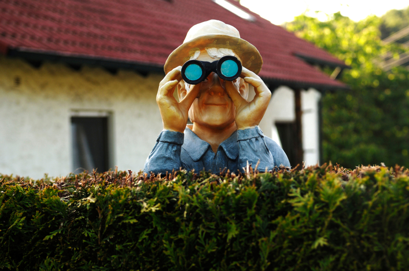 Creepy Neighbor | Alamy Stock Photo by imageBROKER.com GmbH & Co. KG/Helmut Meyer zur Capellen