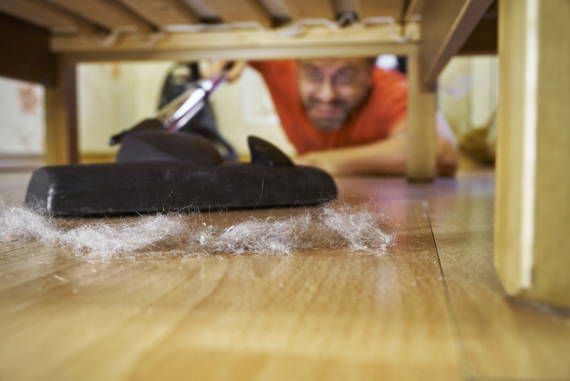 Under the Bed | Shutterstock