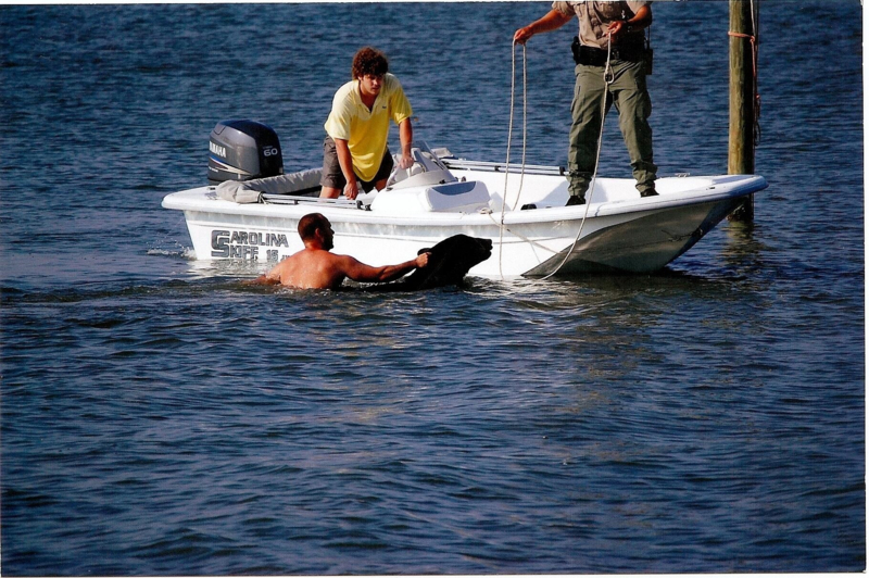 Man Dives Into Ocean And Saves 400-Pound Bear | Twitter/@adam_warwick