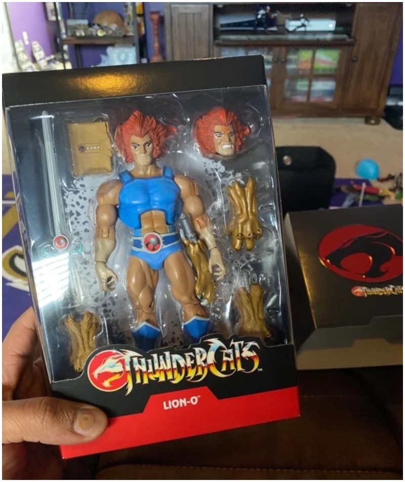 ThunderCats Action Figure | Reddit.com/bigstaffretired