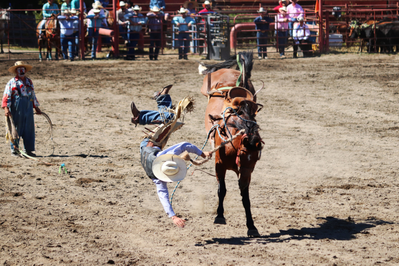 Auffahrunfall | Alamy Stock Photo