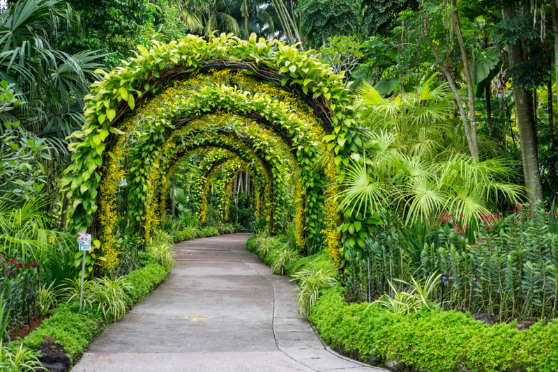 Wilde Garten | Alamy Stock Photo by Charles O. Cecil