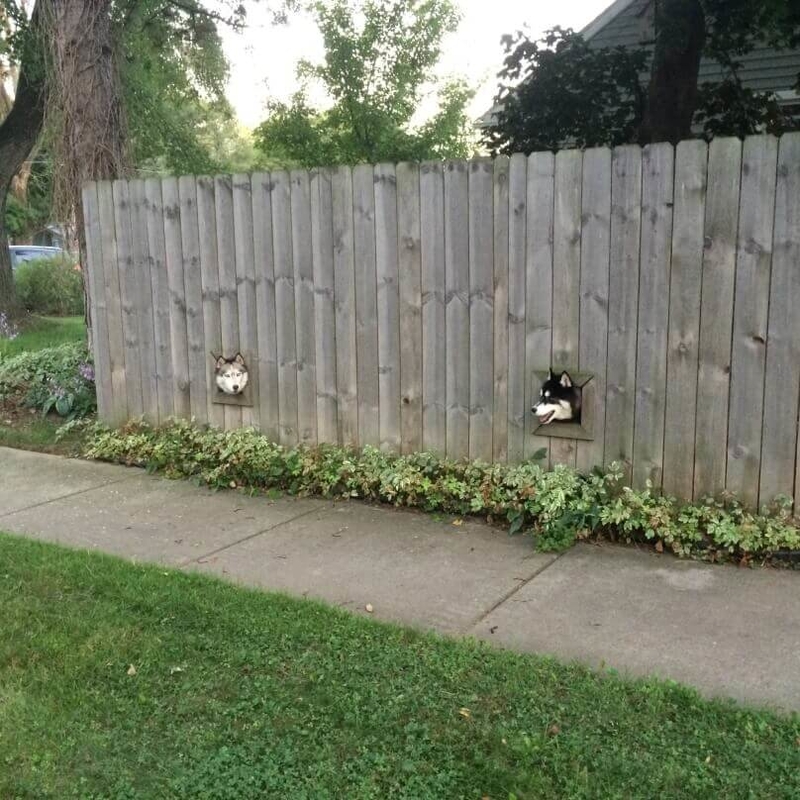 Howdy, Neighbor! | Reddit.com/dath0916