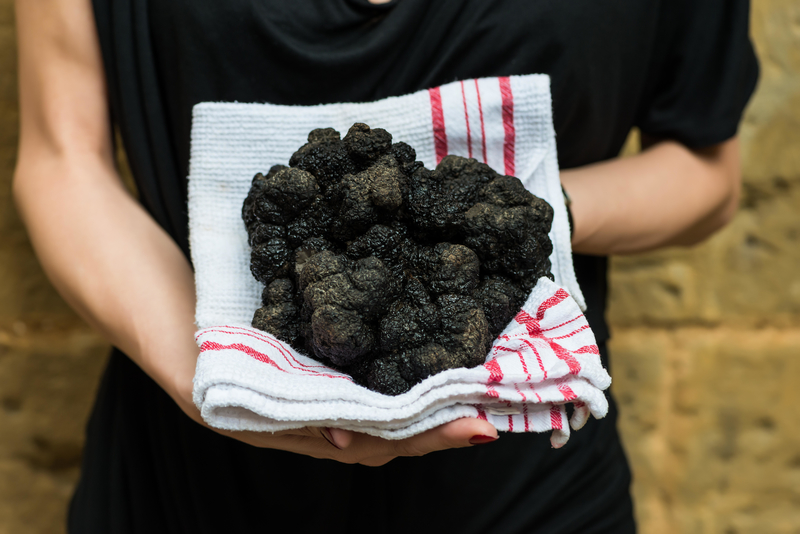 The Black Truffle Heist — $100,000 | Alamy Stock Photo