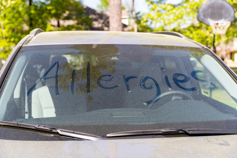 Allergies | Chad Robertson Media/Shutterstock