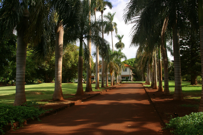 The History of Gay & Robinson Plantation | Alamy Stock Photo by C.Douglas Peebles Photography 