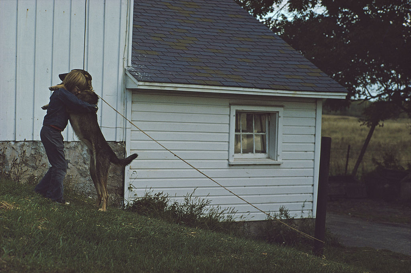 Long Legs | Getty Images Photo by Ernst Haas