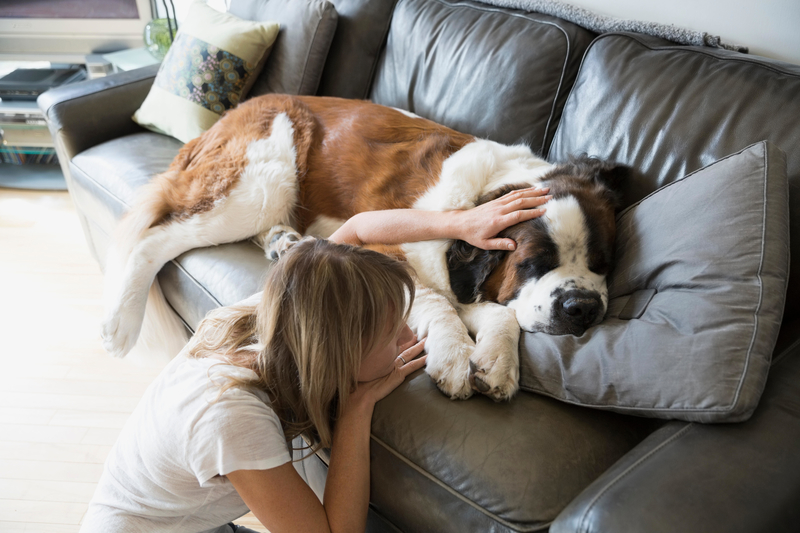 Dreadful Dreaming | Alamy Stock Photo 