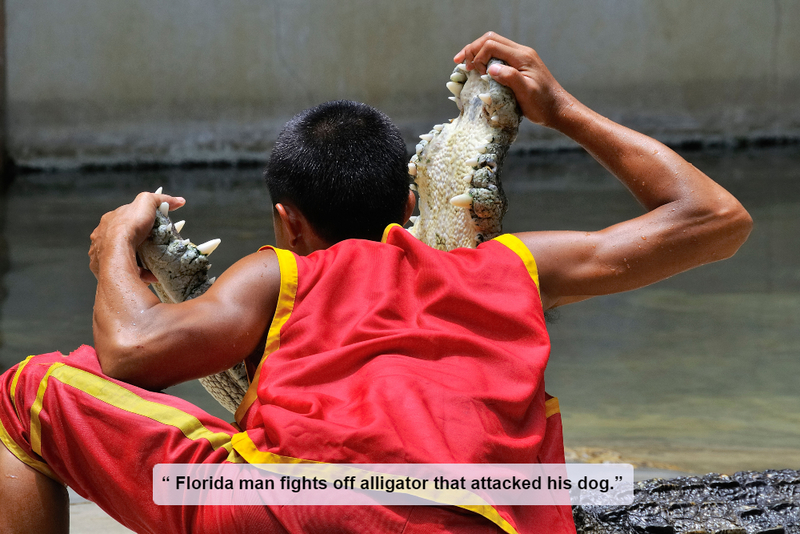 More Like Florida HERO | Alamy Stock Photo