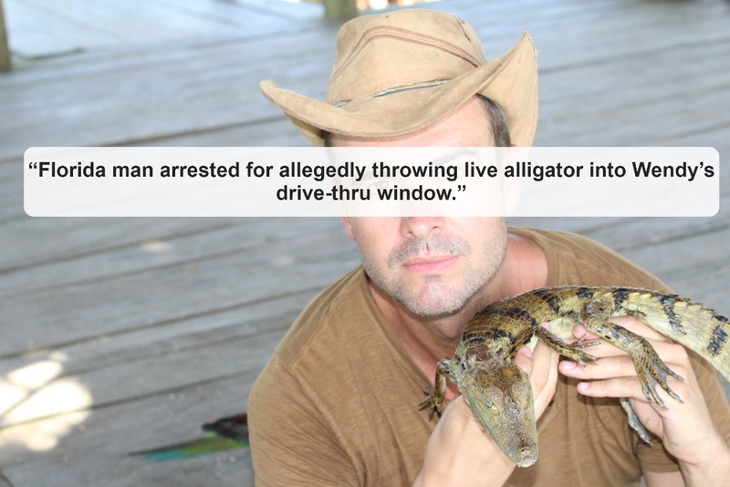 Alligators at Wendy’s? Sounds Like a Wednesday | Shutterstock