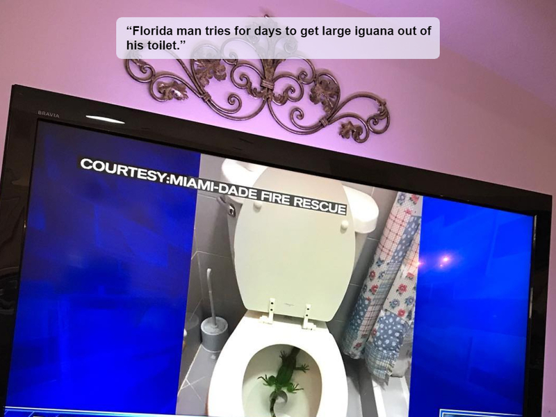 The Weirdest of the Weird “Florida Man” Stories — Part 2 | Instagram/@mariahurcomb