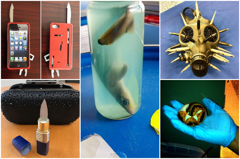 These Bizarre Items Found By Airport Security Will Shake You To The Core | Instagram/@tsa