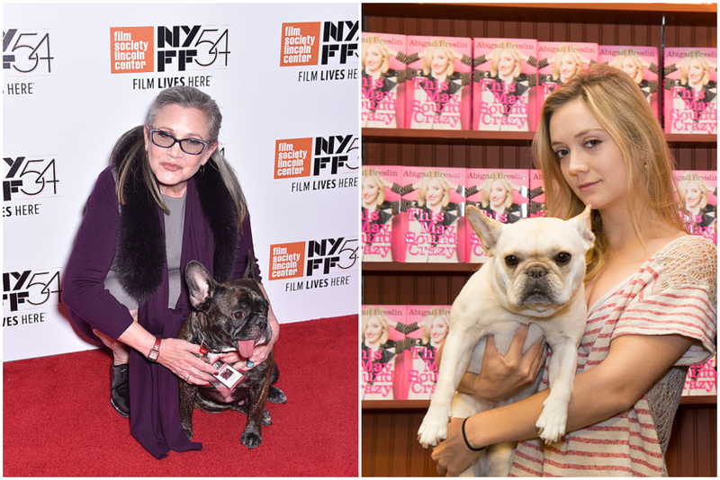 Billie Lourd | Getty Images Photo by Jared Siskin/Patrick McMullan & Lee Celano