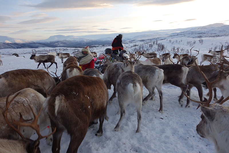 On Dasher, on Dancer! | Getty Images Photo by Scott Wallace